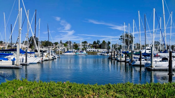 Whale watching in Santa Cruz with&nbsp;kids