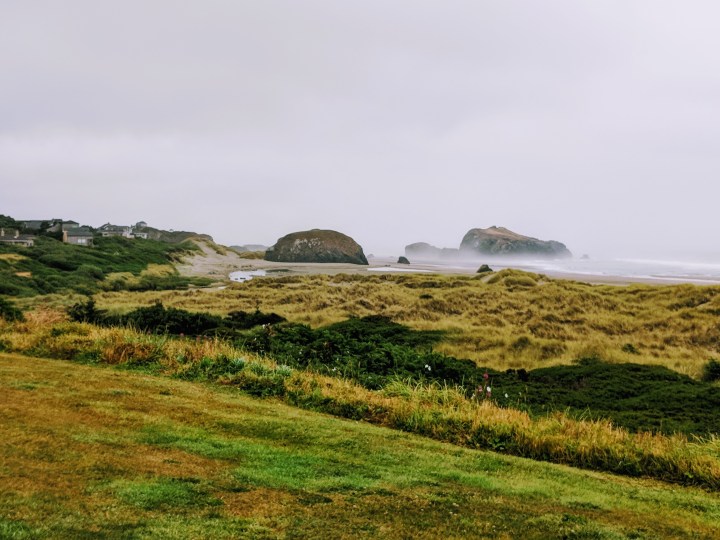 Pacific Northwest: itinerario in nord California e Oregon con i&nbsp;bambini