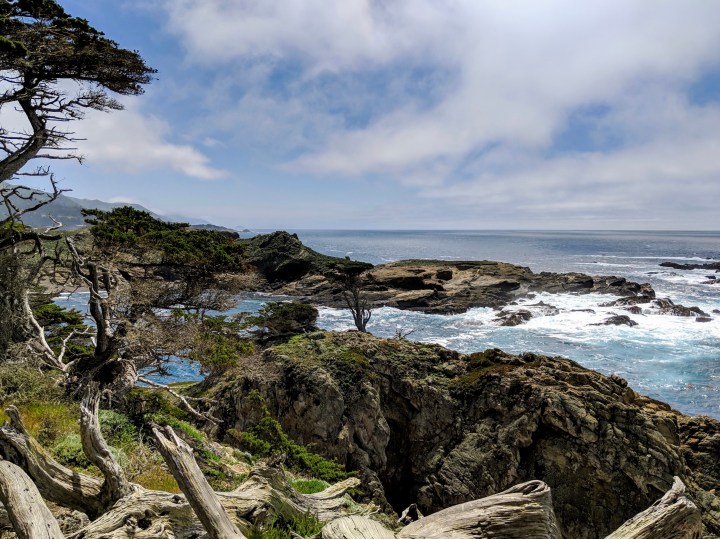 Lungo la costa centrale della California: Point Lobos State Natural Reserve e Carmel by the&nbsp;Sea
