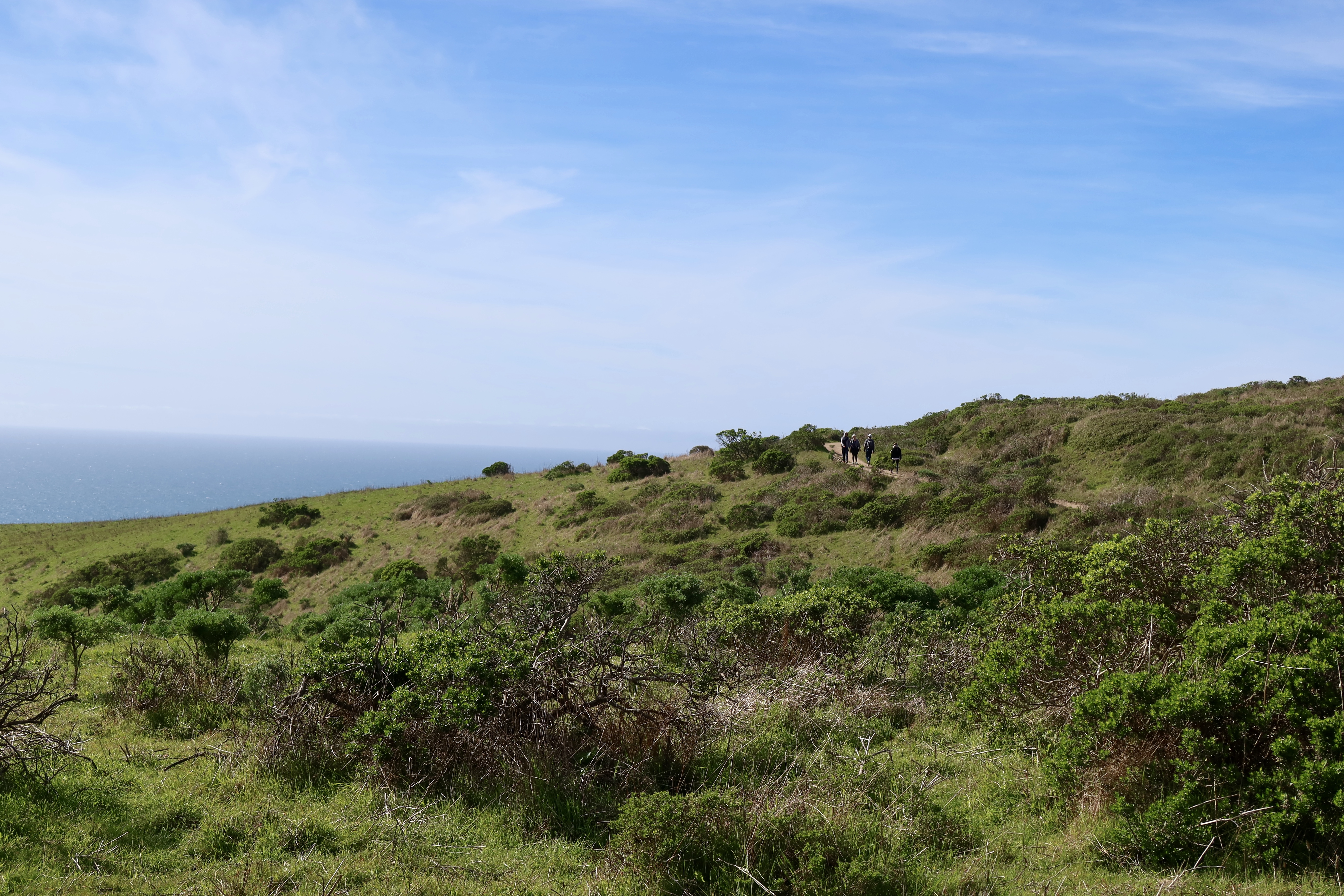 Point Reyes Kid What to do in Point Reyes National Seashore with kids – Fragole e Mirtilli