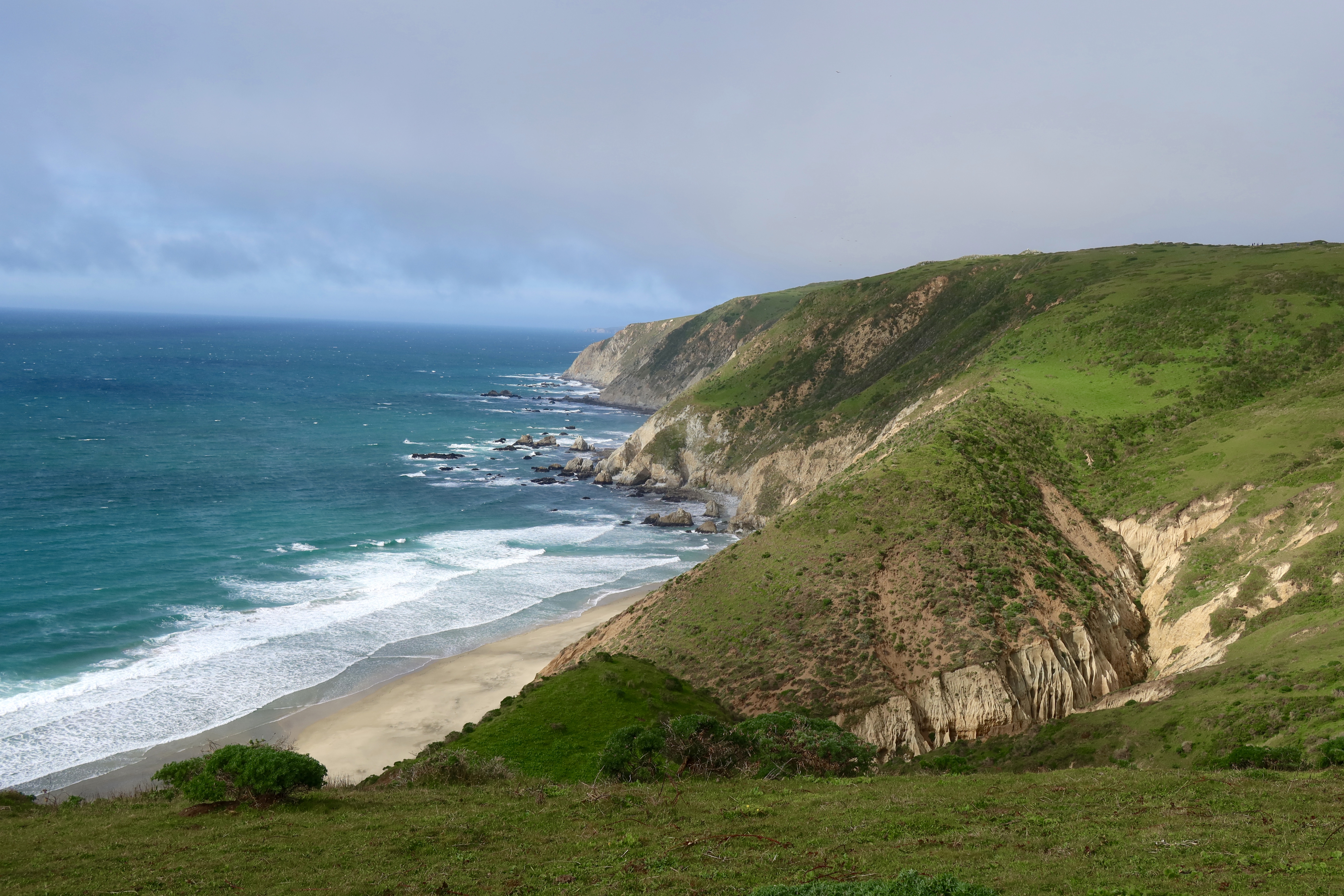 Point Reyes Kid What to do in Point Reyes National Seashore with kids – Fragole e Mirtilli