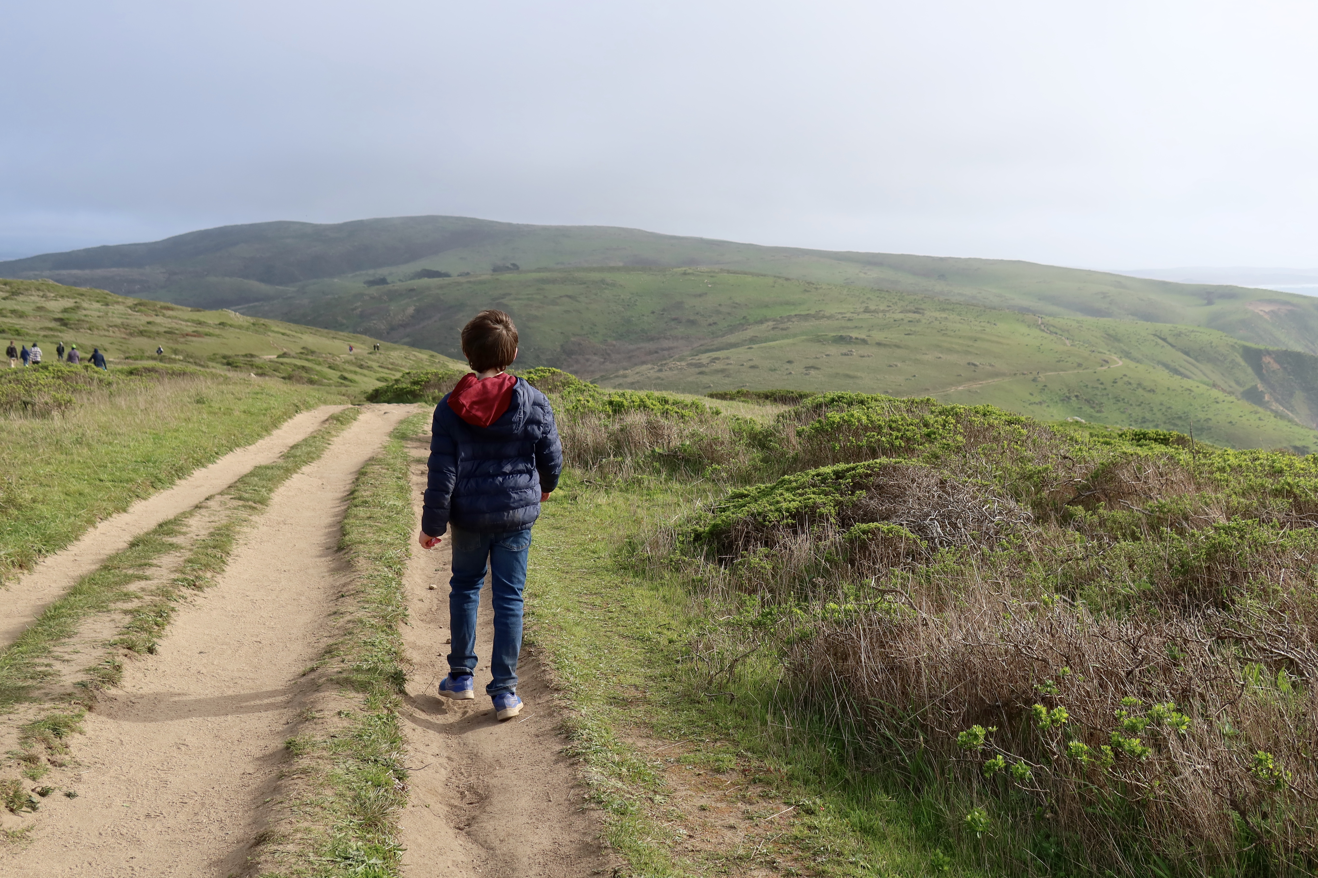 Point Reyes Kid What to do in Point Reyes National Seashore with kids – Fragole e Mirtilli