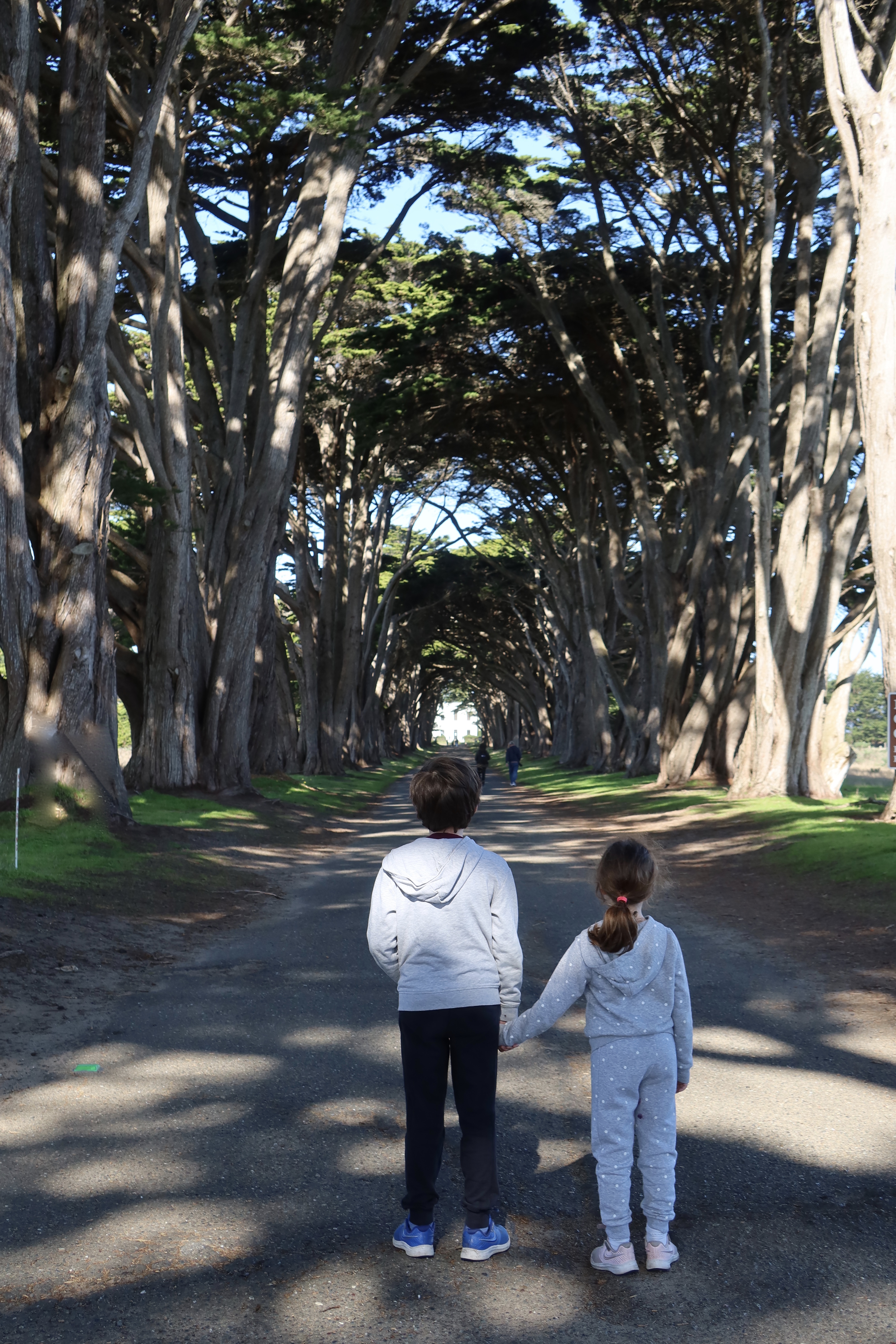Point Reyes Kid What to do in Point Reyes National Seashore with kids – Fragole e Mirtilli
