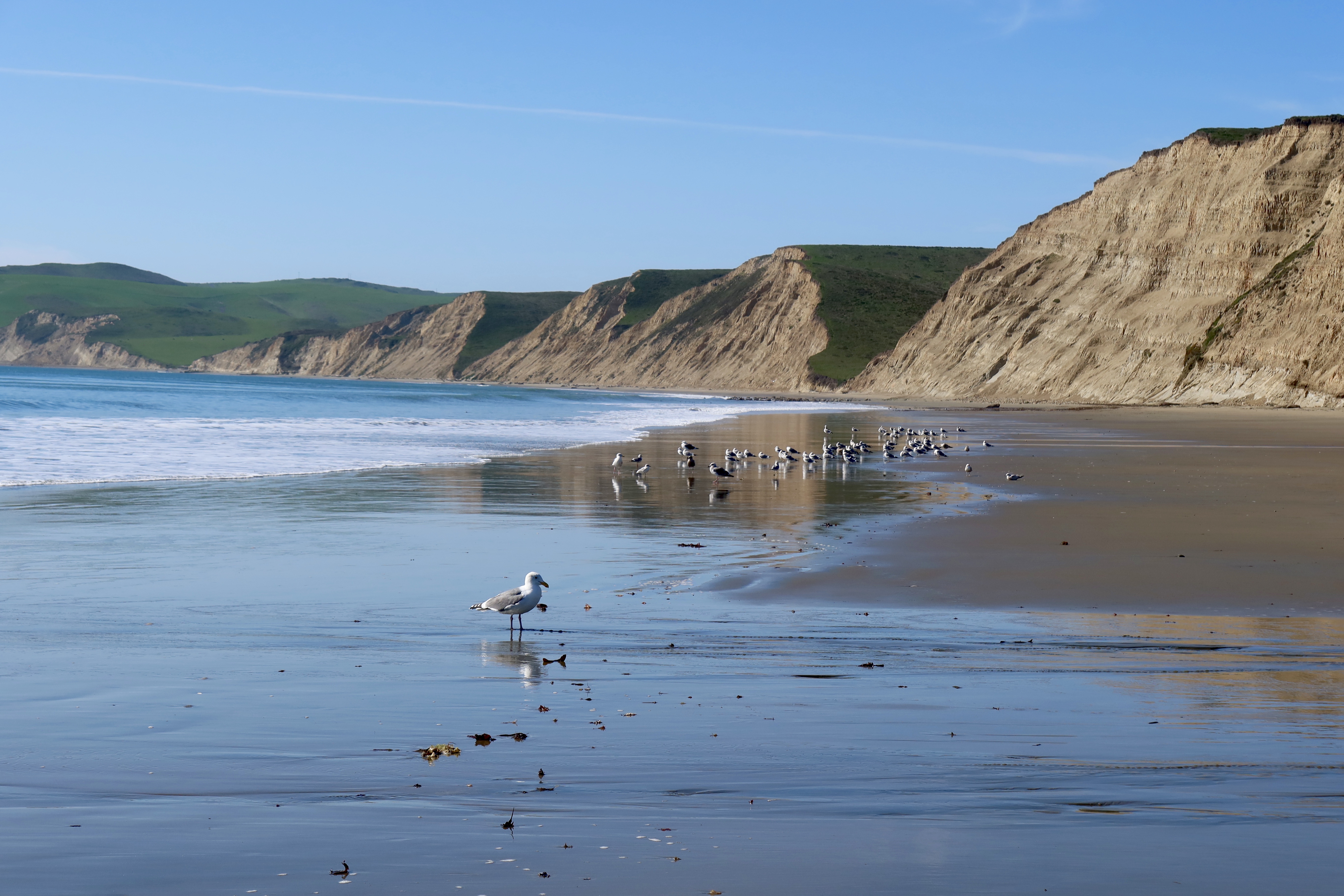 Point Reyes Kid What to do in Point Reyes National Seashore with kids – Fragole e Mirtilli
