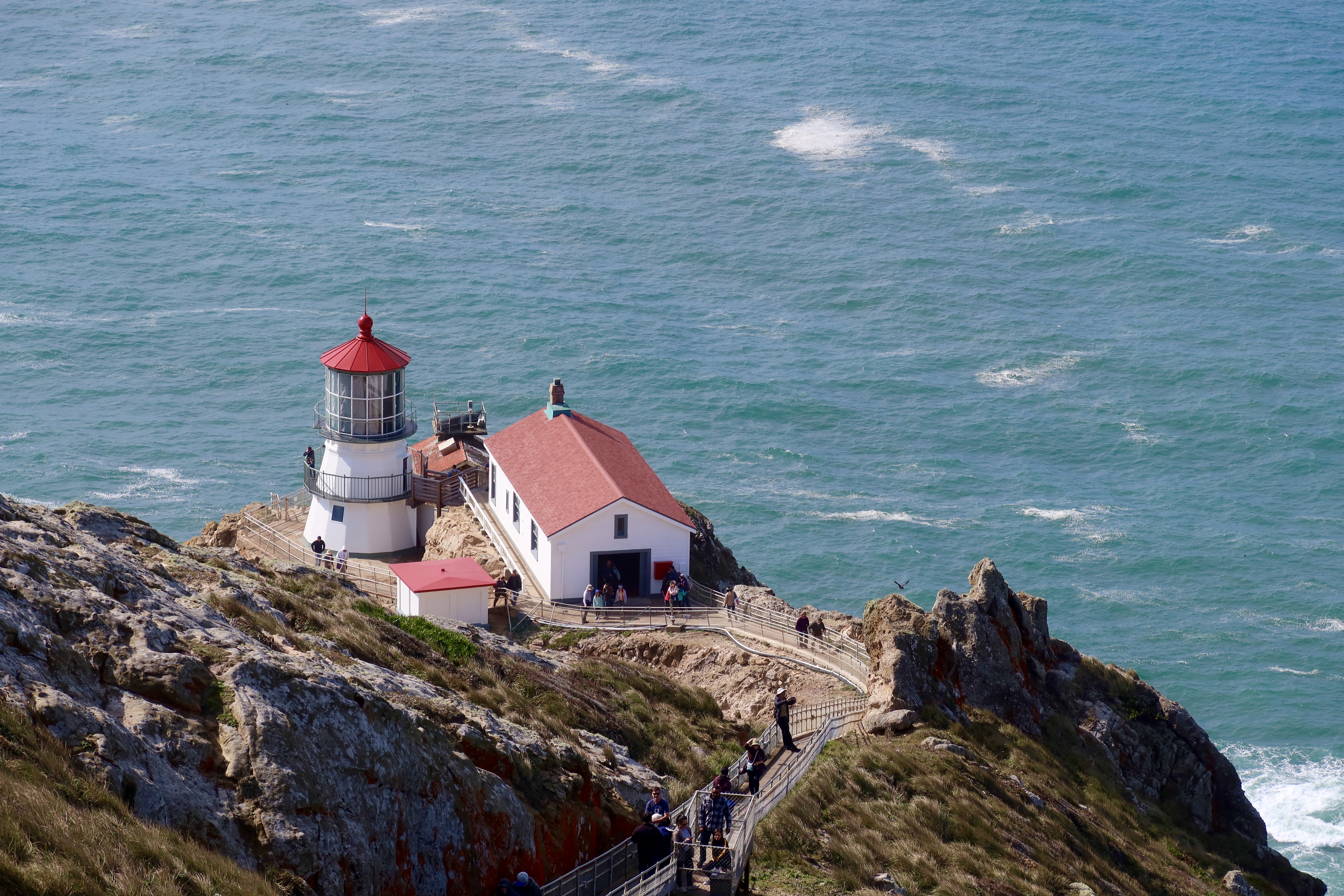 Point Reyes Kid What to do in Point Reyes National Seashore with kids – Fragole e Mirtilli